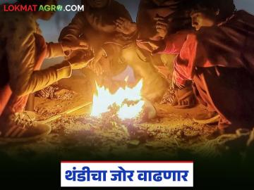 उत्तरेकडील थंड वाऱ्यांचा परिणाम; राज्यात 'या' भागात पुन्हा थंडीचा जोर वाढण्याची शक्यता - Marathi News | Effect of cold winds from the north; Cold wave likely to intensify again in 'this' part of the state | Latest News at Lokmat.com उत्तरेकडील थंड वाऱ्यांचा परिणाम; राज्यात 'या' भागात पुन्हा थंडीचा जोर वाढण्याची शक्यता - Marathi News | Effect of cold winds from the north; Cold wave likely to intensify again in 'this' part of the state | Latest News at Lokmat.com