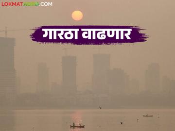 पुढील २४ तासात राज्यात कशी राहील थंडी? हवामान खात्याने काय दिला अंदाज? - Marathi News | How cold will the state be in the next 24 hours? What has the Meteorological Department predicted? | Latest News at Lokmat.com पुढील २४ तासात राज्यात कशी राहील थंडी? हवामान खात्याने काय दिला अंदाज? - Marathi News | How cold will the state be in the next 24 hours? What has the Meteorological Department predicted? | Latest News at Lokmat.com
