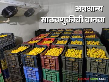 Storage Facility : साठवणुकीची सोय असल्यास उत्पादन वाढेल  - Marathi News | Storage Facility : Production will increase if there is storage facility  | Latest News at Lokmat.com