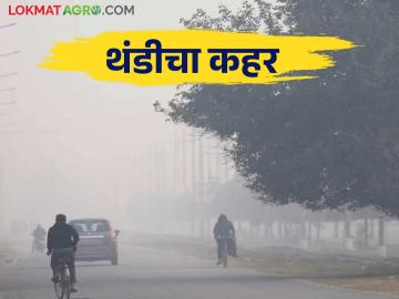Maharashtra Weather Update : राज्यात थंडीचा कडाका; अजून किती दिवस थंडीचा जोर कायम राहणार? - Marathi News | Maharashtra Weather Update : Cold wave in the state; How long will the cold weather continue? | Latest News at Lokmat.com