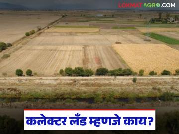 Collector Land : कलेक्टर लँड म्हणजे काय, ही जमीन विकत घेताना काय काळजी घ्यावी? - Marathi News | Latest News What is collector land, what should be taken care of while buying this land? | Latest News at Lokmat.com Collector Land : कलेक्टर लँड म्हणजे काय, ही जमीन विकत घेताना काय काळजी घ्यावी? - Marathi News | Latest News What is collector land, what should be taken care of while buying this land? | Latest News at Lokmat.com