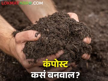 खड्डा पद्धतीने घरच्या घरी कंपोस्ट खत कसं बनवायचं - Marathi News | How to make compost at home level using pit method | Latest News at Lokmat.com खड्डा पद्धतीने घरच्या घरी कंपोस्ट खत कसं बनवायचं - Marathi News | How to make compost at home level using pit method | Latest News at Lokmat.com