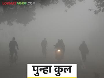 Maharashtra Weather Update : पश्चिमेकडून वाहणाऱ्या जोरदार वाऱ्यांमुळे राज्यात थंडी वाढण्याचा अंदाज - Marathi News | Maharashtra Weather Update : Due to strong winds blowing from the west, cold weather is expected in the state | Latest News at Lokmat.com