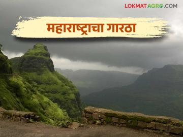 Maharashtra Weather Update : चक्रीवादळामुळे राज्यात थंडीची लाट या जिल्ह्यांत यलो अलर्ट जारी वाचा सविस्तर - Marathi News | Maharashtra Weather Update : Yellow alert issued in these districts due to cold wave in the state | Latest News at Lokmat.com