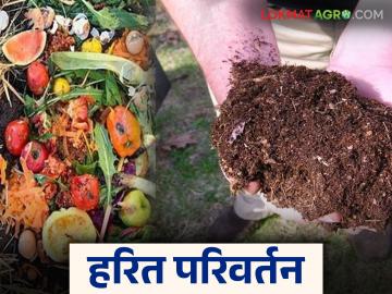Compost Khat: 'कंपोस्ट क्रांती': गावागावांतून उगम होतोय हरित समृद्धीचा! वाचा सविस्तर - Marathi News | Compost Khat: latest news 'Compost Revolution': Green prosperity is emerging from villages! read in details | Latest News at Lokmat.com
