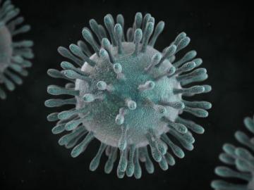 coronavirus : पश्चिम उपनरात बोरिवलीमध्ये उभारले पाहिले कोविड-१९ डायग्नोस्टिक स्क्रिनिंग सेंटर - Marathi News | coronavirus: Covid-19 diagnostic screening center set up in Borivali in western suburbs | Latest News at Lokmat.com coronavirus : पश्चिम उपनरात बोरिवलीमध्ये उभारले पाहिले कोविड-१९ डायग्नोस्टिक स्क्रिनिंग सेंटर - Marathi News | coronavirus: Covid-19 diagnostic screening center set up in Borivali in western suburbs | Latest News at Lokmat.com