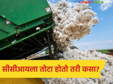 केंद्र सरकारने ‘सीसीआय’ला दिली 1718.56 काेटींची नुकसानभरपाई, कापूस विक्रीतून ताेटा हाेताे तरी कसा? - Marathi News | Latest news CCI Cotton central government gave compensation of Rs 1718.56 crores | Latest News at Lokmat.com केंद्र सरकारने ‘सीसीआय’ला दिली 1718.56 काेटींची नुकसानभरपाई, कापूस विक्रीतून ताेटा हाेताे तरी कसा? - Marathi News | Latest news CCI Cotton central government gave compensation of Rs 1718.56 crores | Latest News at Lokmat.com