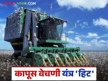 Cotton Harvesting Machine : अकोटमध्ये कापूस वेचणी यंत्र 'हिट'; २५० शेतकऱ्यांसमोर यशस्वी प्रात्यक्षिक वाचा सविस्तर - Marathi News | latest news Cotton Harvesting Machine: Cotton harvesting machine a 'hit' in Akot; Successful demonstration in front of 250 farmers Read in detail | Latest News at Lokmat.com