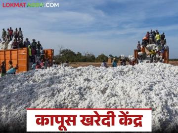 CCI in High Court : भारतीय कापूस महामंडळाला हायकोर्टाने फटकारले; काय आहे प्रकरण वाचा सविस्तर - Marathi News | CCI in High Court: High Court reprimands Cotton Corporation of India; Read the case in detail | Latest News at Lokmat.com CCI in High Court : भारतीय कापूस महामंडळाला हायकोर्टाने फटकारले; काय आहे प्रकरण वाचा सविस्तर - Marathi News | CCI in High Court: High Court reprimands Cotton Corporation of India; Read the case in detail | Latest News at Lokmat.com