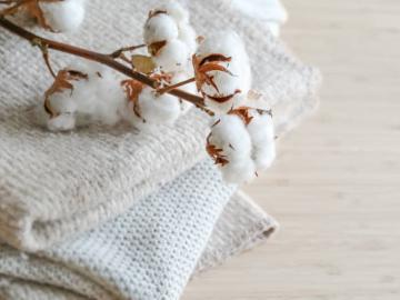 कापूस प्रक्रिया हब, तरुणांचा प्रक्रिया उद्योगाकडे वाढता कल - Marathi News | Latest News Increasing trend of youth towards cotton processing industry | Latest News at Lokmat.com कापूस प्रक्रिया हब, तरुणांचा प्रक्रिया उद्योगाकडे वाढता कल - Marathi News | Latest News Increasing trend of youth towards cotton processing industry | Latest News at Lokmat.com