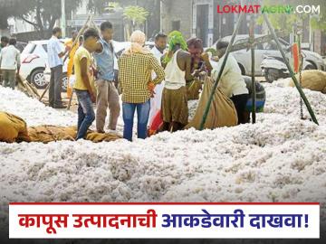 CCI In High Court : राज्यात तीन वर्षांत किती क्विंटल कापूस? हायकोर्टाची थेट विचारणा - Marathi News | latest news CCI In High Court: How many quintals of cotton in the state in three years? Direct question from the High Court | Latest News at Lokmat.com CCI In High Court : राज्यात तीन वर्षांत किती क्विंटल कापूस? हायकोर्टाची थेट विचारणा - Marathi News | latest news CCI In High Court: How many quintals of cotton in the state in three years? Direct question from the High Court | Latest News at Lokmat.com