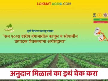 Cotton Subsidy : कापूस व सोयाबीन पिकांचे ०५ हजार मिळाले का? ऑनलाईन चेक करा तुमच्या मोबाईलवर - Marathi News | Did you get 5000 thousand of cotton and soybean crops? Check online on your mobile | Latest News at Lokmat.com Cotton Subsidy : कापूस व सोयाबीन पिकांचे ०५ हजार मिळाले का? ऑनलाईन चेक करा तुमच्या मोबाईलवर - Marathi News | Did you get 5000 thousand of cotton and soybean crops? Check online on your mobile | Latest News at Lokmat.com
