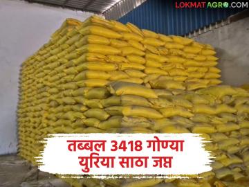 युरिया टंचाईच्या तक्रारीनंतर कृषी विभागाची धाड; कासोद्यात ३४१८ गोण्या युरिया साठा जप्त - Marathi News | Agriculture Department raids after complaint of urea shortage; 3418 bags of urea stock seized in Kasodya | Latest News at Lokmat.com