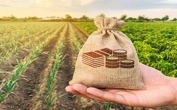 Pik Vima Yojana : उद्यापासून 'या' शेतकऱ्यांच्या खात्यात पिक विमा जमा होणार, जाणून घ्या सविस्तर  - Marathi News | Latest News Pik Vima Yojana Pik Vima Yojana will be deposited in accounts of ahmdnagar farmers, know in detail  | Latest News at Lokmat.com
