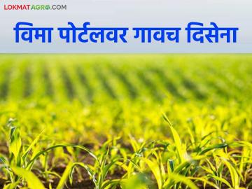 राज्यातील 'हे' गाव पीकविमा ऑनलाईन पोर्टलवर दिसेना; दोन हजार शेतकऱ्यांना फटका - Marathi News | 'This' village in the state does not appear on the crop insurance online portal; Two thousand farmers affected | Latest News at Lokmat.com