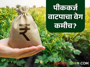 Kharif Crop Loan : खरीप हंगाम अर्ध्यावर…शेतकऱ्यांची कर्जासाठी वणवण सुरुच वाचा सविस्तर - Marathi News | latest news Kharif Crop Loan: Kharif season is halfway over… Farmers continue to beg for loans Read in detail | Latest News at Lokmat.com