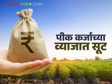शेतकऱ्यांना पीक कर्जासाठी १ टक्के दराने अर्थसहाय्य; आता किती टक्क्याने मिळणार पीक कर्ज? - Marathi News | Farmers to get 1% financial assistance for crop loans; Now at what percentage will they get crop loans? | Latest News at Lokmat.com