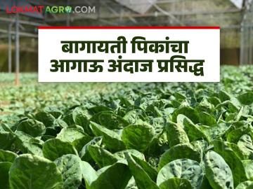 Agriculture News : फलोत्पादन घटणार, कांदा, टोमॅटोचे उत्पादन कसे असेल? तिसरा आगाऊ अंदाज जाहीर  - Marathi News | Latest News Agriculture News Department of Agriculture releases third advance estimate of area and production of various horticultural crops for 2023-24 | Latest News at Lokmat.com