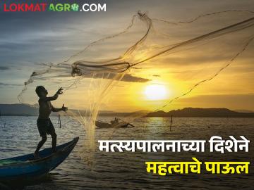 लवचिक मत्स्यपालनासाठी कार्बन फूटप्रिंटमध्ये घट करण्याचा भारताचा प्रस्ताव  - Marathi News | India's proposal to reduce carbon footprint for resilient fisheries | Latest News at Lokmat.com