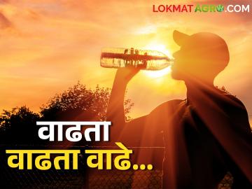 Temperature: राज्यात असह्य उन्हाने नागरिक बेजार, आज कोणत्या शहराचा पारा किती? - Marathi News | Temperature: Citizens are tired of unbearable heat in the state, how much mercury is in which city today? | Latest News at Lokmat.com