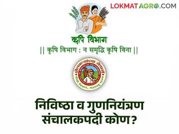 Agriculture Department : निविष्ठा व गुणनियंत्रण संचालक विकास पाटील निवृत्त! पदावर कुणाची लागणार वर्णी? - Marathi News | Agriculture Department Director of Input and Quality Control Vikas Patil Retired! Who will be required for the post? | Latest agriculture News at Lokmat.com