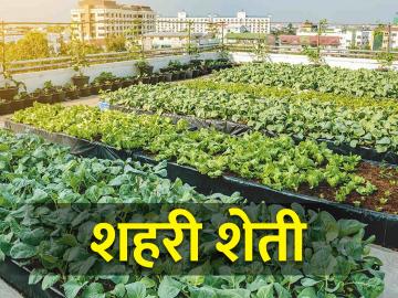 Urban Farming: आरोग्यासह रोजगाराच्या संधीही मिळवून देईल शहरी शेती - Marathi News | Urban Farming: Along with health, urban farming will also provide employment opportunities | Latest News at Lokmat.com