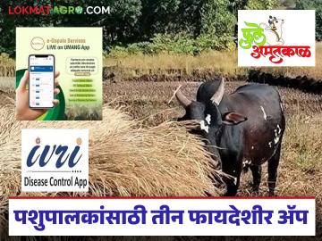 असे तीन फायदेशीर ॲप, जे प्रत्येक पशुपालकांच्या मोबाईलमध्ये असायलाच हवे, वाचा सविस्तर  - Marathi News | Latest News Animal Husbandry Mobile App about three such beneficial apps that every animal farmer should have on their mobile | Latest agri-business News at Lokmat.com