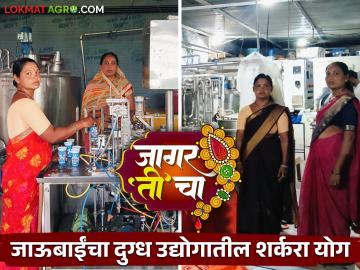 Women Farmer Story : सुनंदा आणि सिंधू यांच्या अथक परिश्रमाच्या संगमातून वाहते दुग्ध व्यवसायाची नर्मदाई - Marathi News | Latest News Navratri special Story two women's successful dairy business in chatarpati sambhajinagar | Latest News at Lokmat.com Women Farmer Story : सुनंदा आणि सिंधू यांच्या अथक परिश्रमाच्या संगमातून वाहते दुग्ध व्यवसायाची नर्मदाई - Marathi News | Latest News Navratri special Story two women's successful dairy business in chatarpati sambhajinagar | Latest News at Lokmat.com