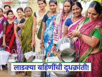 Dairy Farmers : 'लाडक्या बहिणींची' पशुपालनातून दुग्ध धवलक्रांती; ग्रामीण अर्थव्यवस्थेला नवी दिशा - Marathi News | latest news Dairy Farmers: Dairy revolution through animal husbandry of 'beloved sisters'; New direction for rural economy | Latest agri-business News at Lokmat.com