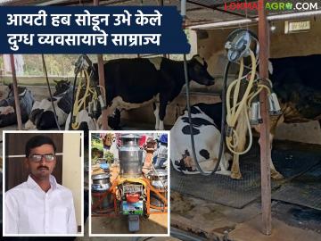 'व्हाइट कॉलर' नोकरी सोडून उभे केले दुग्ध व्यवसायाचे साम्राज्य; जाणून घ्या काय आहे विशाल यांची यशकथा - Marathi News | He left his 'white collar' job and built a dairy business empire; Know what is Vishal's success story | Latest News at Lokmat.com