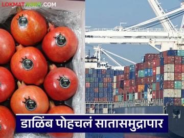 Dalimb Export : डाळिंबाचा पहिला कंटेनर समुद्रमार्गे अमेरिकेसाठी रवाना, 17 हजार किलो डाळिंबाची निर्यात  - Marathi News | Latest News First container of 17 thousand kg pomegranates leaves for America by sea | Latest News at Lokmat.com