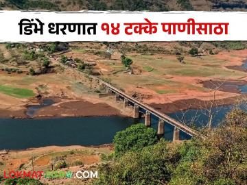 Dimbhe Dam डिंभे धरणाचे पाणलोट क्षेत्र झाले रिकामे - Marathi News | The catchment area of Dimbhe Dam has become empty | Latest News at Lokmat.com