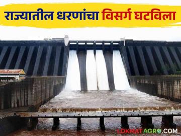 Maharashtra Dam Discharged : धरणांचा विसर्ग घटविला, उजनी, जायकवाडी, खडकवासलातून किती विसर्ग? वाचा सविस्तर - Marathi News | latest News Maharashtra Dam Discharged reduced, how much discharge from Ujani, Jayakwadi, Khadakvasal Read in detail | Latest News at Lokmat.com Maharashtra Dam Discharged : धरणांचा विसर्ग घटविला, उजनी, जायकवाडी, खडकवासलातून किती विसर्ग? वाचा सविस्तर - Marathi News | latest News Maharashtra Dam Discharged reduced, how much discharge from Ujani, Jayakwadi, Khadakvasal Read in detail | Latest News at Lokmat.com