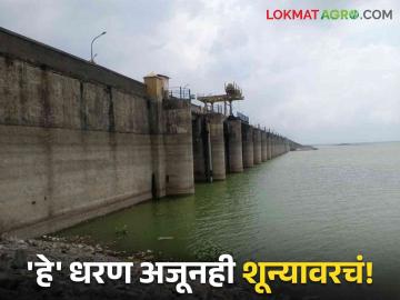 Maharashtra Dam Storage : राज्यातील 'हे' धरण अजूनही शून्य टक्के... तर ही धरणे 100 टक्के भरली, वाचा सविस्तर - Marathi News | Latest News Maharashtra dam Storage these dam zero percent few dam is 100 percent full, read in detail | Latest News at Lokmat.com Maharashtra Dam Storage : राज्यातील 'हे' धरण अजूनही शून्य टक्के... तर ही धरणे 100 टक्के भरली, वाचा सविस्तर - Marathi News | Latest News Maharashtra dam Storage these dam zero percent few dam is 100 percent full, read in detail | Latest News at Lokmat.com