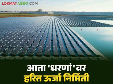 राज्यातील धरणं बनतील आता ऊर्जा निर्मितीची केंद्र; तरंगत्या सौर ऊर्जा प्रकल्पांतून वीज निर्मिती - Marathi News | Dams in the state will now become centers of energy generation; Electricity generation through floating solar power projects | Latest News at Lokmat.com