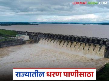 तुमच्या जिल्ह्यातील धरणं किती भरली? जायकवाडी, गंगापूर, उजनी धरणांत किती पाणी आलं?  - Marathi News | Latest News maharashtra dam storage How much water has been collected from dams in your district | Latest News at Lokmat.com