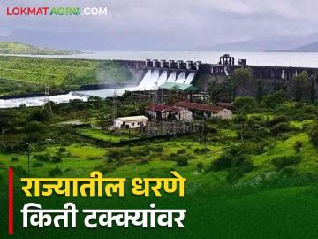 Maharashtra Dam Storage : राज्यातील धरणांच्या पाणीपातळीत वाढ; जाणून घ्या आज किती पाणीसाठा? - Marathi News | Latest News Increase in water level of gangapur, jayakawadi, ujani, koyana dams in maharashtra see details | Latest News at Lokmat.com