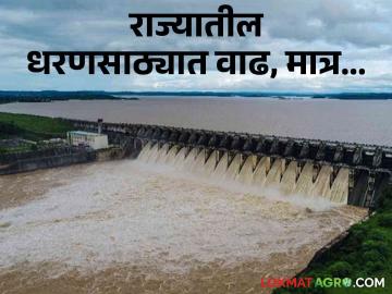 Maharashtra Dam Storage : राज्यात पाऊस, उत्तर महाराष्ट्रातील धरणे तहानलेलीच, वाचा सविस्तर - Marathi News | Latest News Todays Gangapur, koyana, gosikhurd, jayakwadi dam storage check near dam storage | Latest News at Lokmat.com Maharashtra Dam Storage : राज्यात पाऊस, उत्तर महाराष्ट्रातील धरणे तहानलेलीच, वाचा सविस्तर - Marathi News | Latest News Todays Gangapur, koyana, gosikhurd, jayakwadi dam storage check near dam storage | Latest News at Lokmat.com