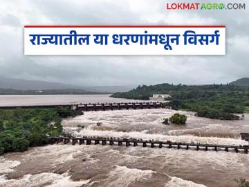 Maharashtra Rain : राज्यातील धरणांमध्ये पाणीसाठा वाढला, या धरणांमधून विसर्ग, वाचा सविस्तर - Marathi News | Latest news Water storage in dams in maharashtra has increased, discharge from dams, read in detail | Latest News at Lokmat.com Maharashtra Rain : राज्यातील धरणांमध्ये पाणीसाठा वाढला, या धरणांमधून विसर्ग, वाचा सविस्तर - Marathi News | Latest news Water storage in dams in maharashtra has increased, discharge from dams, read in detail | Latest News at Lokmat.com