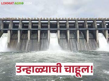 Dam Water Level : उन्हाळ्याची चाहूल! ‘या’ धरणात फक्त ५३% पाणी; टंचाईचा धोका वाढला - Marathi News | latest news Dam Water Level: Summer is coming! Only 53% water in ‘Ya’ dam; Risk of shortage increases | Latest News at Lokmat.com