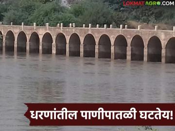 Dam Water Level Decreasing : जालना जिल्ह्यात पाणीसाठ्यात मोठी घट! मे-जूनपर्यंत पुरणार का पाणी? वाचा सविस्तर - Marathi News | latest news Dam Water Level Decreasing: Major decrease in water storage in Jalna district! Will there be enough water till May-June? Read in detail | Latest News at Lokmat.com