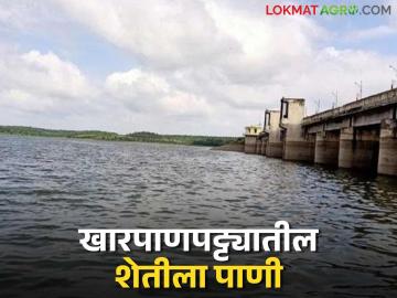 Water for Irrigation: खारपाणपट्ट्यातील शेतीला मिळणार सिंचनासाठी पाणी वाचा सविस्तर - Marathi News | Water for Irrigation: Agriculture in the salt flats will get water for irrigation. Read in detail | Latest News at Lokmat.com Water for Irrigation: खारपाणपट्ट्यातील शेतीला मिळणार सिंचनासाठी पाणी वाचा सविस्तर - Marathi News | Water for Irrigation: Agriculture in the salt flats will get water for irrigation. Read in detail | Latest News at Lokmat.com