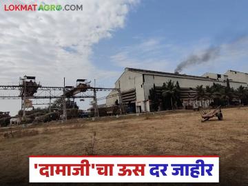 दामाजी कारखान्याकडून यंदाच्या गळीत हंगामासाठी ऊस दर जाहीर; पहिला हप्ता किती देणार? - Marathi News | Damaji Factory announces sugarcane prices for this year's crushing season; How much will the first installment be paid? | Latest News at Lokmat.com