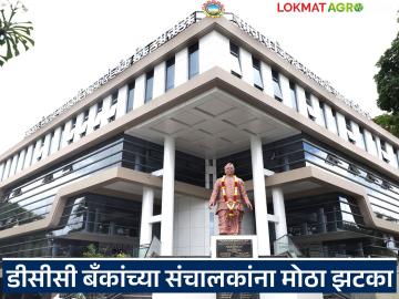 जिल्हा मध्यवर्ती बँकांना केंद्र सरकारचा मोठा झटका; आता 'त्या' संचालकांना कायमचे घरी बसावे लागणार जिल्हा मध्यवर्ती बँकांना केंद्र सरकारचा मोठा झटका; आता 'त्या' संचालकांना कायमचे घरी बसावे लागणार