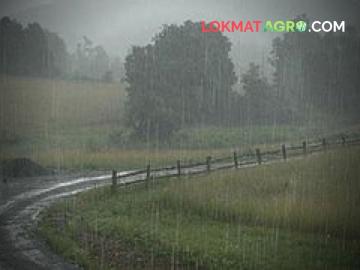 Weather Updates : 'विदर्भात पावसाची शक्यता'  - Marathi News | Weather Updates Chance of rain in Vidarbha maharashtra winter | Latest agriculture News at Lokmat.com