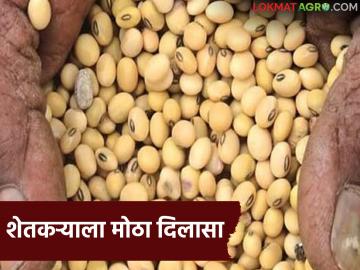 Defective Soybean Seeds : शेतकऱ्याला दिलासा; भेसळयुक्त बियाण्यांप्रकरणी कंपनीला नुकसानभरपाईचा आदेश - Marathi News | latest news Defective Soybean Seeds: Big relief for farmers; Order to pay compensation to company in case of adulterated seeds | Latest News at Lokmat.com