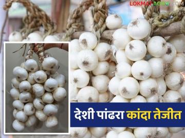 चांबळ्याचा प्रसिद्ध देशी पांढरा कांदा बाजारात दाखल; एका कांद्याच्या माळेला काय मिळतोय दर? - Marathi News | Chambla's famous indigenous white onion has entered the market; What is the price being paid for a bunch of onions? | Latest News at Lokmat.com चांबळ्याचा प्रसिद्ध देशी पांढरा कांदा बाजारात दाखल; एका कांद्याच्या माळेला काय मिळतोय दर? - Marathi News | Chambla's famous indigenous white onion has entered the market; What is the price being paid for a bunch of onions? | Latest News at Lokmat.com