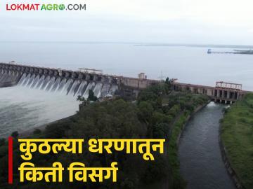 तुमच्या जवळच्या धरणातून सोडलेला, नदीत सुरू असलेला विसर्ग पहा, संपूर्ण धरणनिहाय माहिती - Marathi News | Latest News Maharashtra Dam water Discharged See the discharge from your nearest dam into the river, complete dam-wise information | Latest News at Lokmat.com तुमच्या जवळच्या धरणातून सोडलेला, नदीत सुरू असलेला विसर्ग पहा, संपूर्ण धरणनिहाय माहिती - Marathi News | Latest News Maharashtra Dam water Discharged See the discharge from your nearest dam into the river, complete dam-wise information | Latest News at Lokmat.com