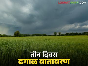 फेब्रुवारी महिन्यात महाराष्ट्रात पावसाची शक्यता आहे काय, काय सांगतोय हवामान अंदाज  - Marathi News | Latest News Weather Update possibility of rain in Maharashtra in February see weather forecast | Latest News at Lokmat.com