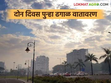 Republic Day Weather : प्रजासत्ताक दिनी राज्यातील 'या' भागात पावसाची शक्यता, वाचा हवामान अंदाज - Marathi News | Latest News light Rain in same parts of the maharashtra on Republic Day, read weather forecast | Latest News at Lokmat.com Republic Day Weather : प्रजासत्ताक दिनी राज्यातील 'या' भागात पावसाची शक्यता, वाचा हवामान अंदाज - Marathi News | Latest News light Rain in same parts of the maharashtra on Republic Day, read weather forecast | Latest News at Lokmat.com